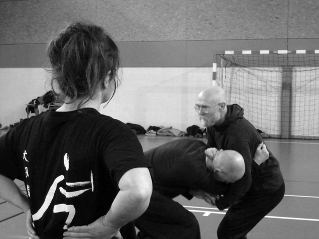 Tai Ji Quan - Canteleu - satge G.Saby 2013